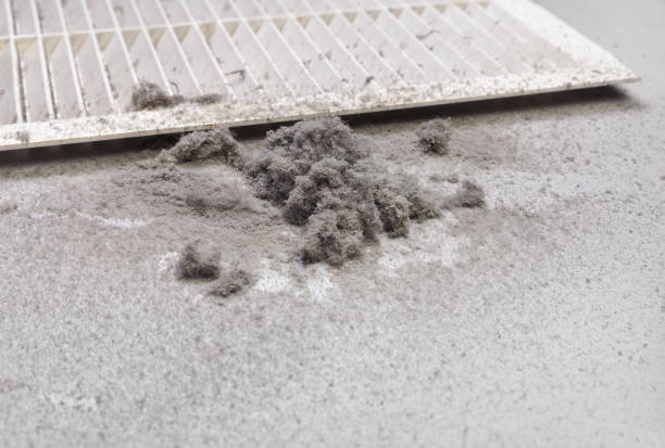 Best Emergency Air Duct Cleaning  in La Puebla, NM