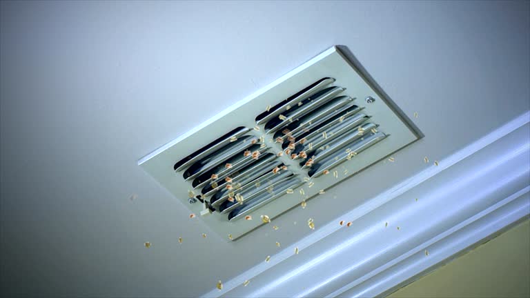Best Ventilation Cleaning Services  in La Puebla, NM