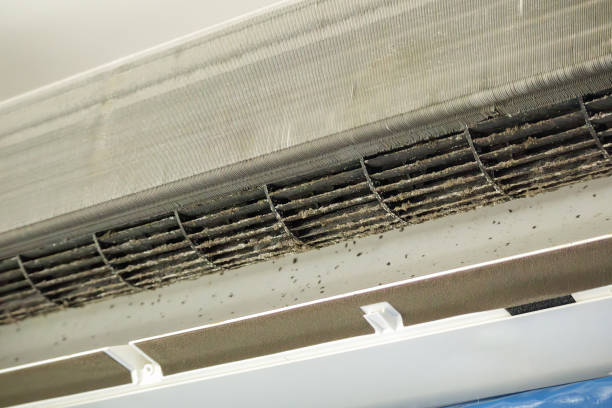 Best HVAC System Cleaning  in La Puebla, NM